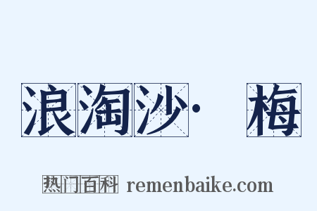 浪淘沙·梅是什么意思的图片